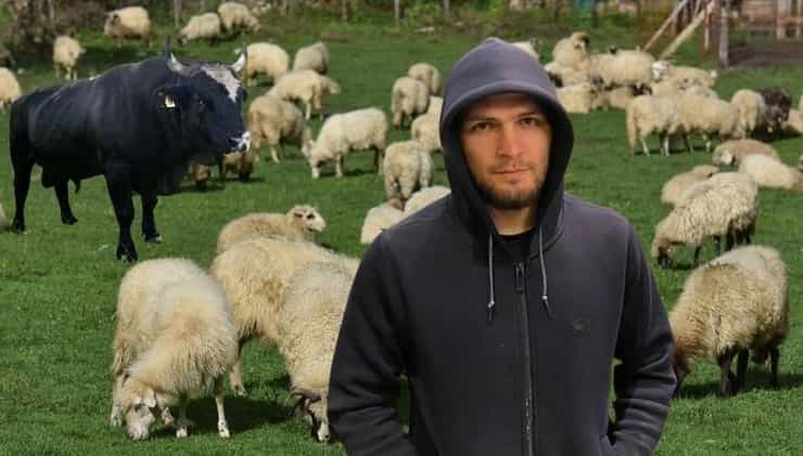 khabib 1