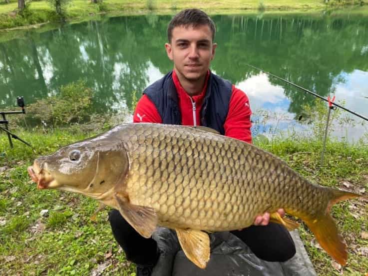 98 centimeter long carp