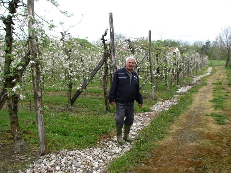 BoškoGrgić