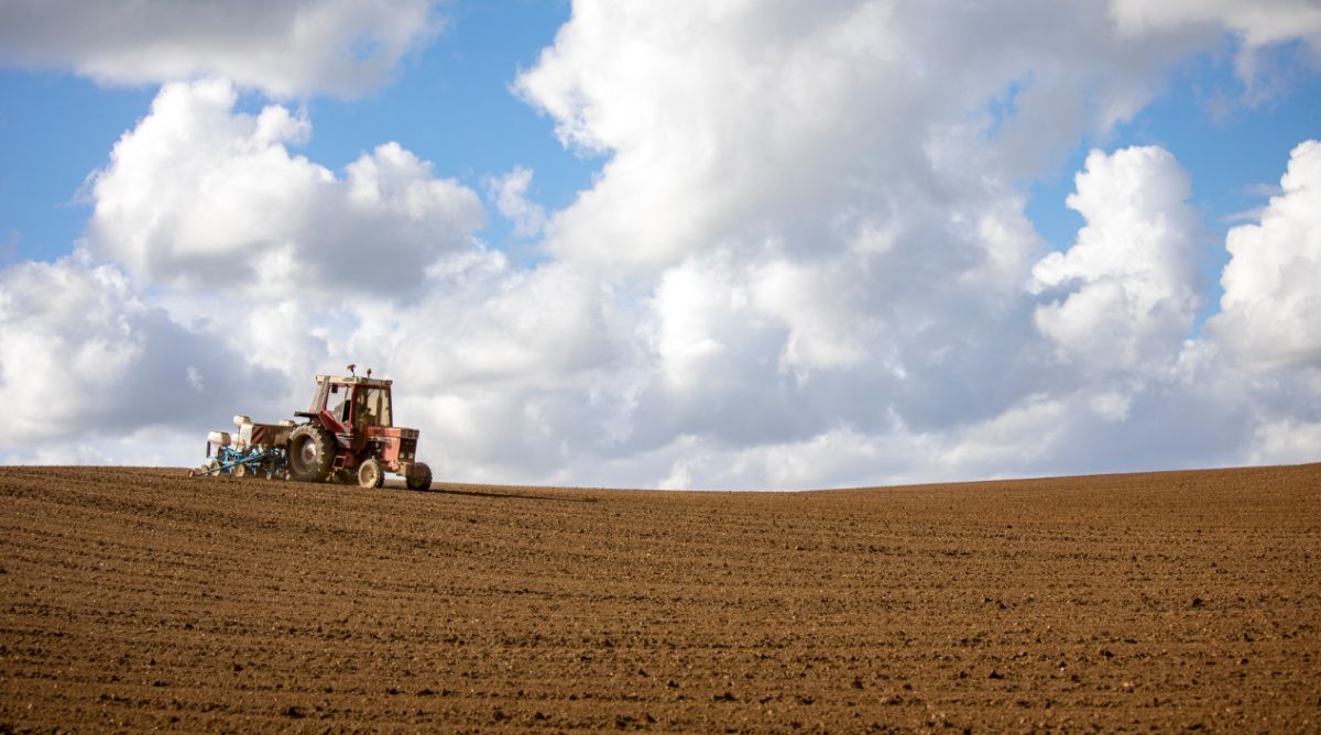 agriculture Normal autumn weather allowed good progress with the sowing of winter cereals