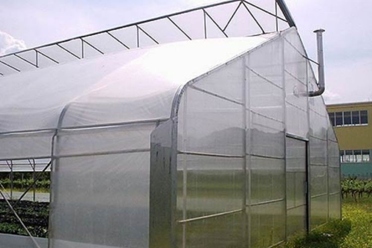 greenhouse20201020105730 627491