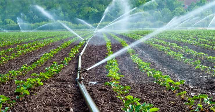 irrigation