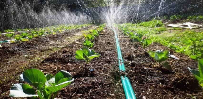 irrigationc68285bd 7c6d 4205 a9e1 a1226925a655poljoprivreda min