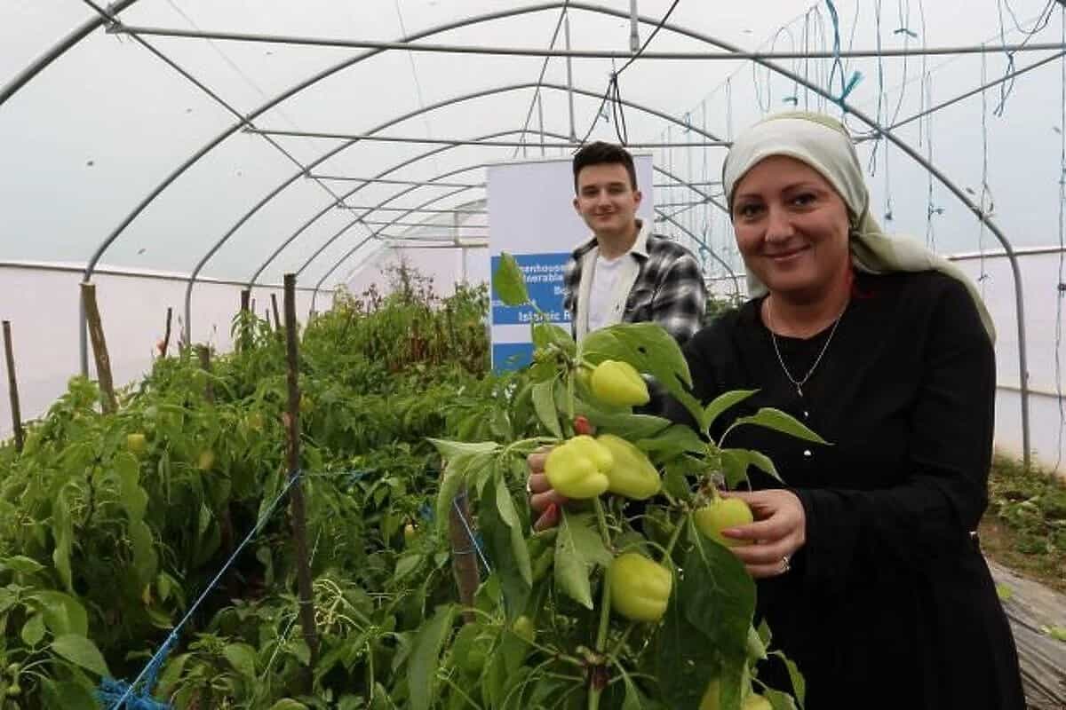 islamicrelifgreenhouse min