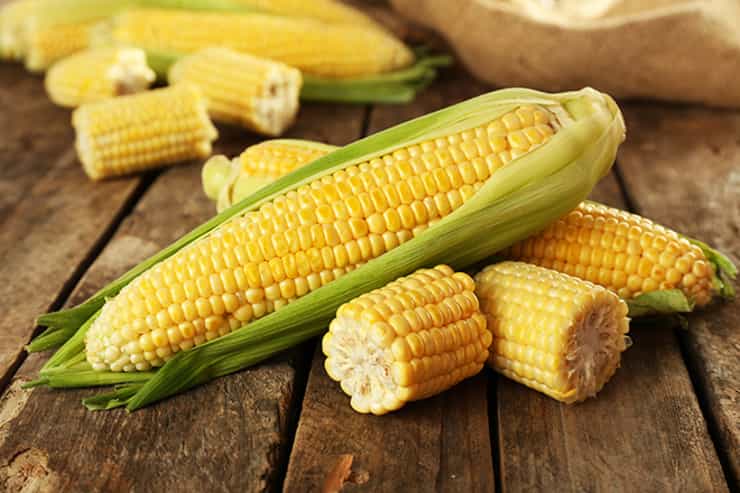 corn456789 1