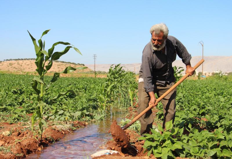 idlib farmer